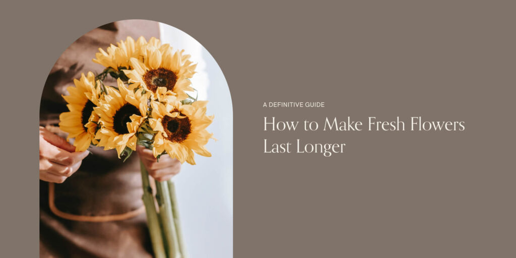 person-holding-sunflowers-bouquet