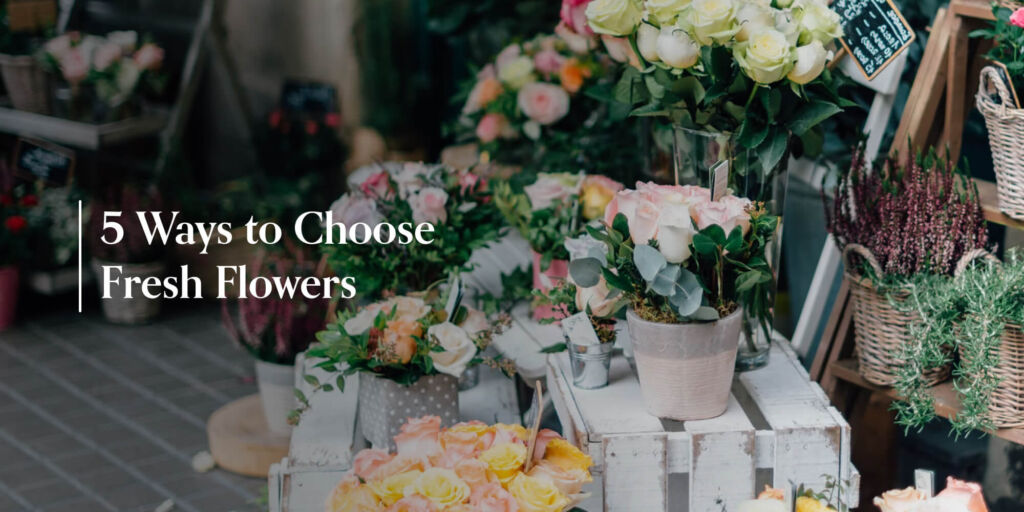 flower-variety-at-shop-front