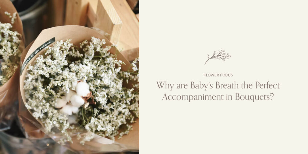 bouquets-of-white-babys-breath
