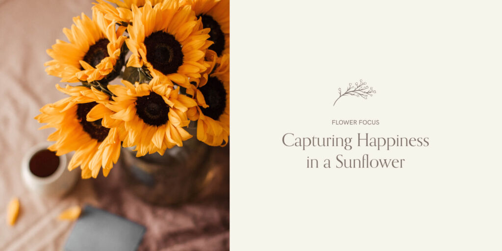 vast-full-of-sunflowers