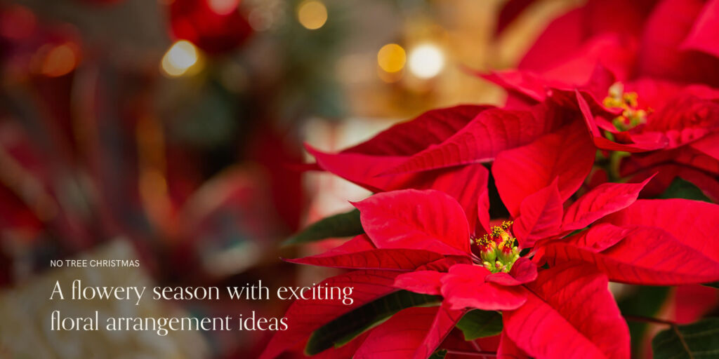 red-poinsetta-fairy-lights