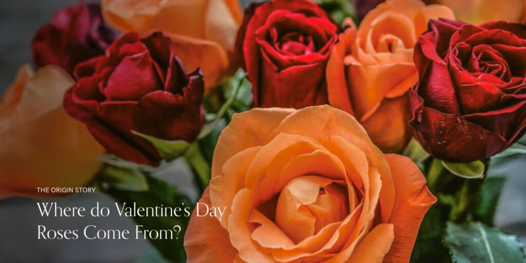 red-and-orange-roses-bouquet