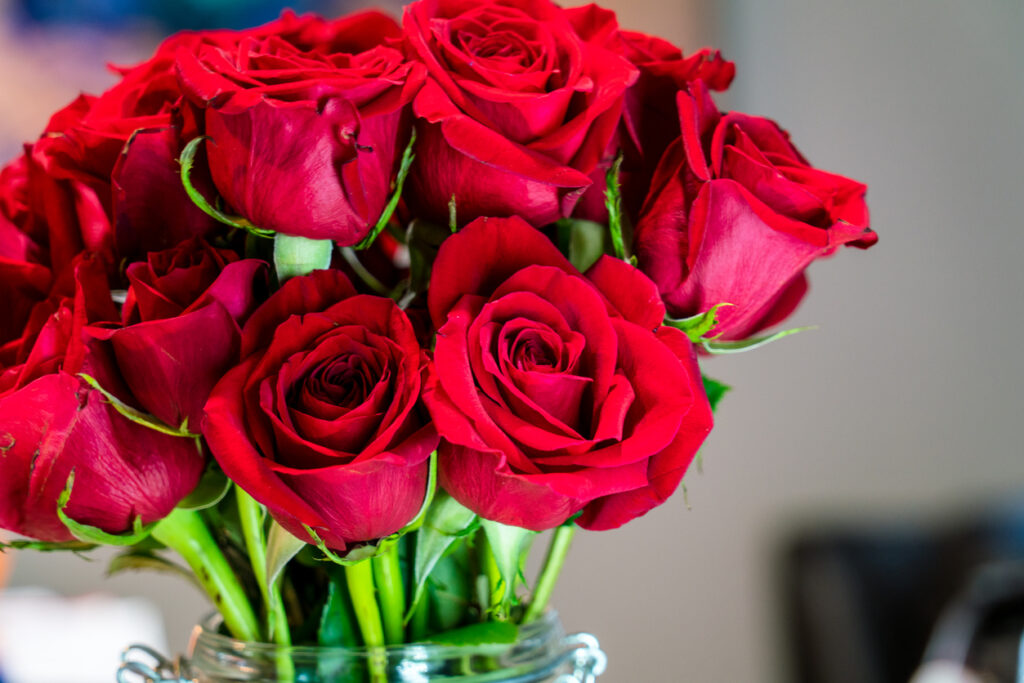 Red roses