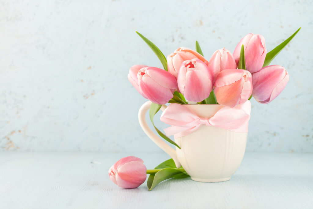 Tulips for Valentine's Day