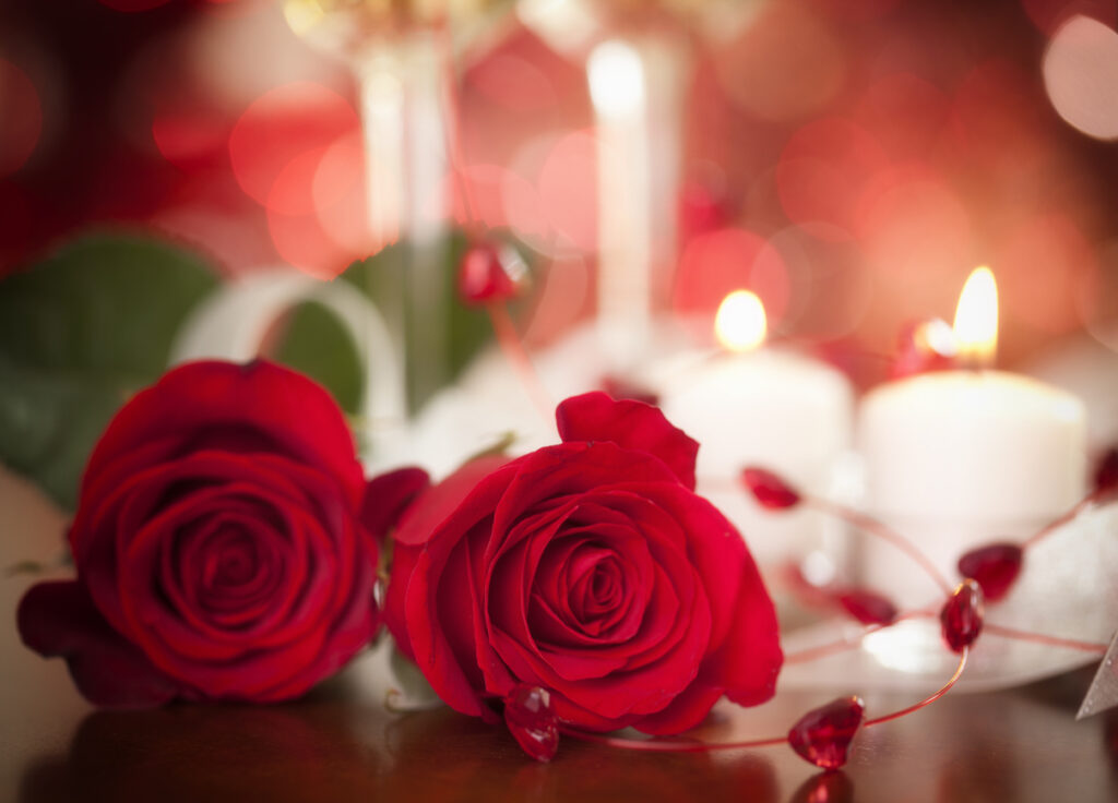 Valentine's Day roses