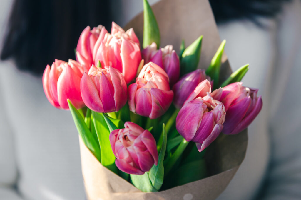 "Thank You" tulips