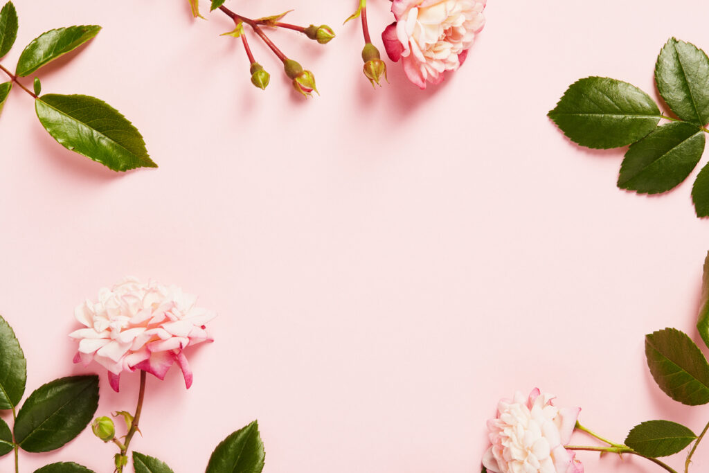 Beautiful flower quotes
