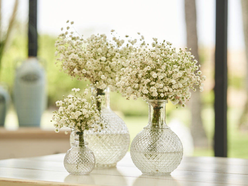 Baby's breath as decoration