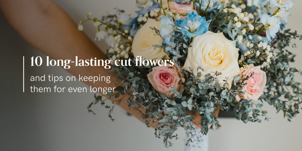 long-lasting-cut-flowers-tips-to-keep-them-fresh-longer