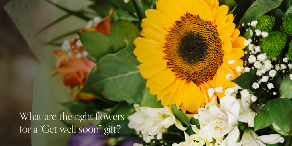 get-well-soon-flower-gift-guide