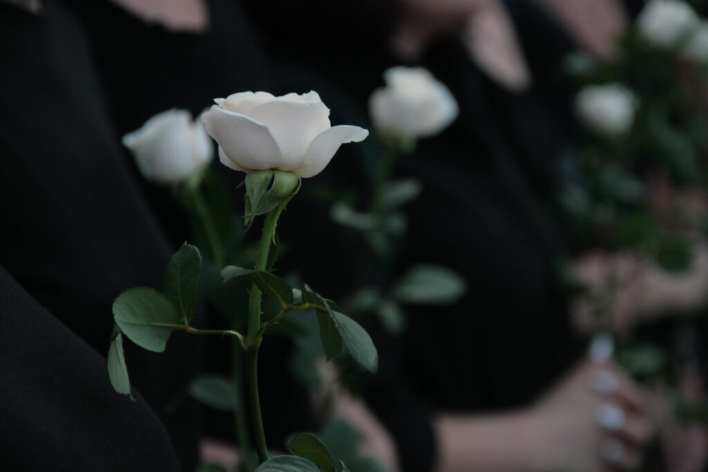 Funeral white roses to send condolences